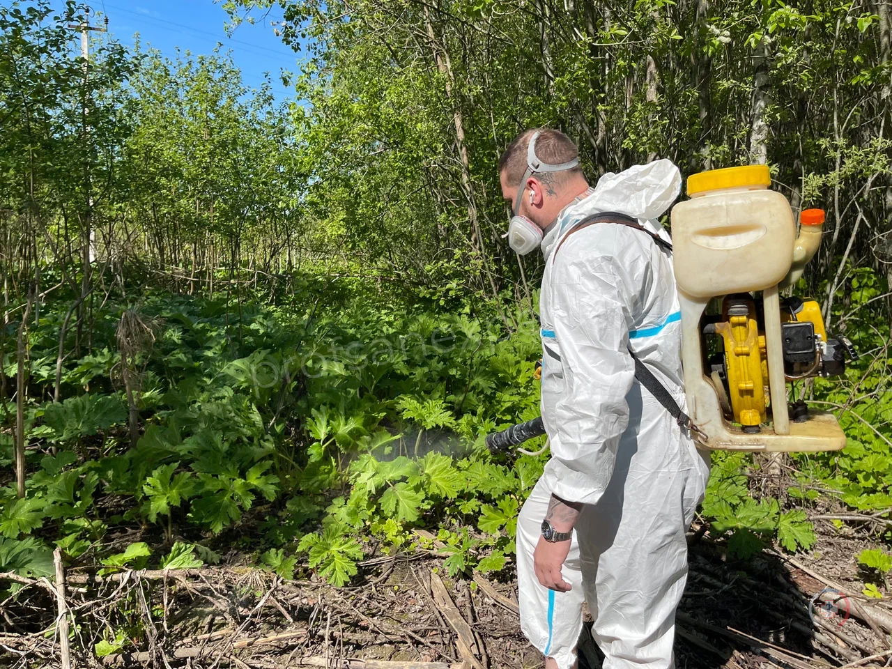 Галерея
